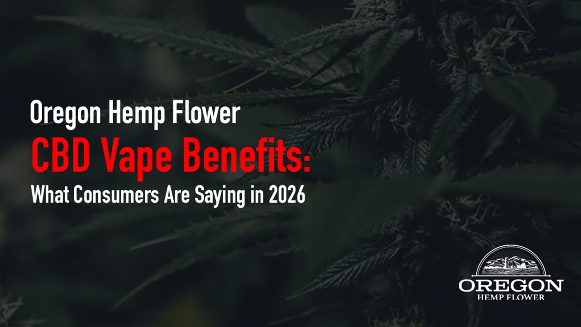 CBD Vape Benefits: What Consumers Are Saying in 2026