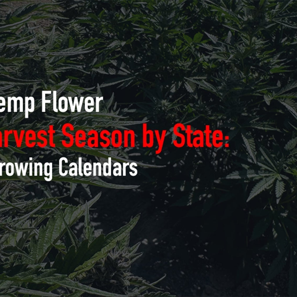 Hemp Harvest Season by State: Regional Growing Calendars