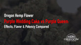 Purple Wedding Cake vs Purple Queen: Effects, Flavor & Potency Compared