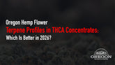 Terpene Profiles in THCA Concentrates: How They Affect Flavor and Effects