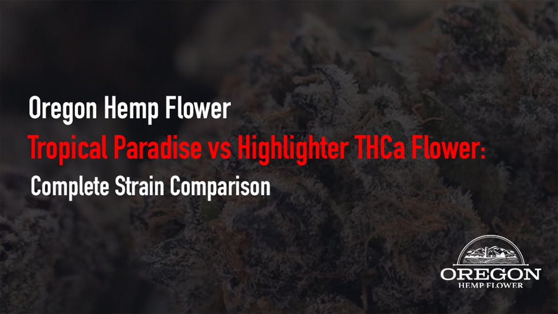 Tropical Paradise vs Highlighter THCa Flower