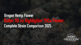 Butter OG vs Highlighter THCa Flower: Complete Strain Comparison 2025