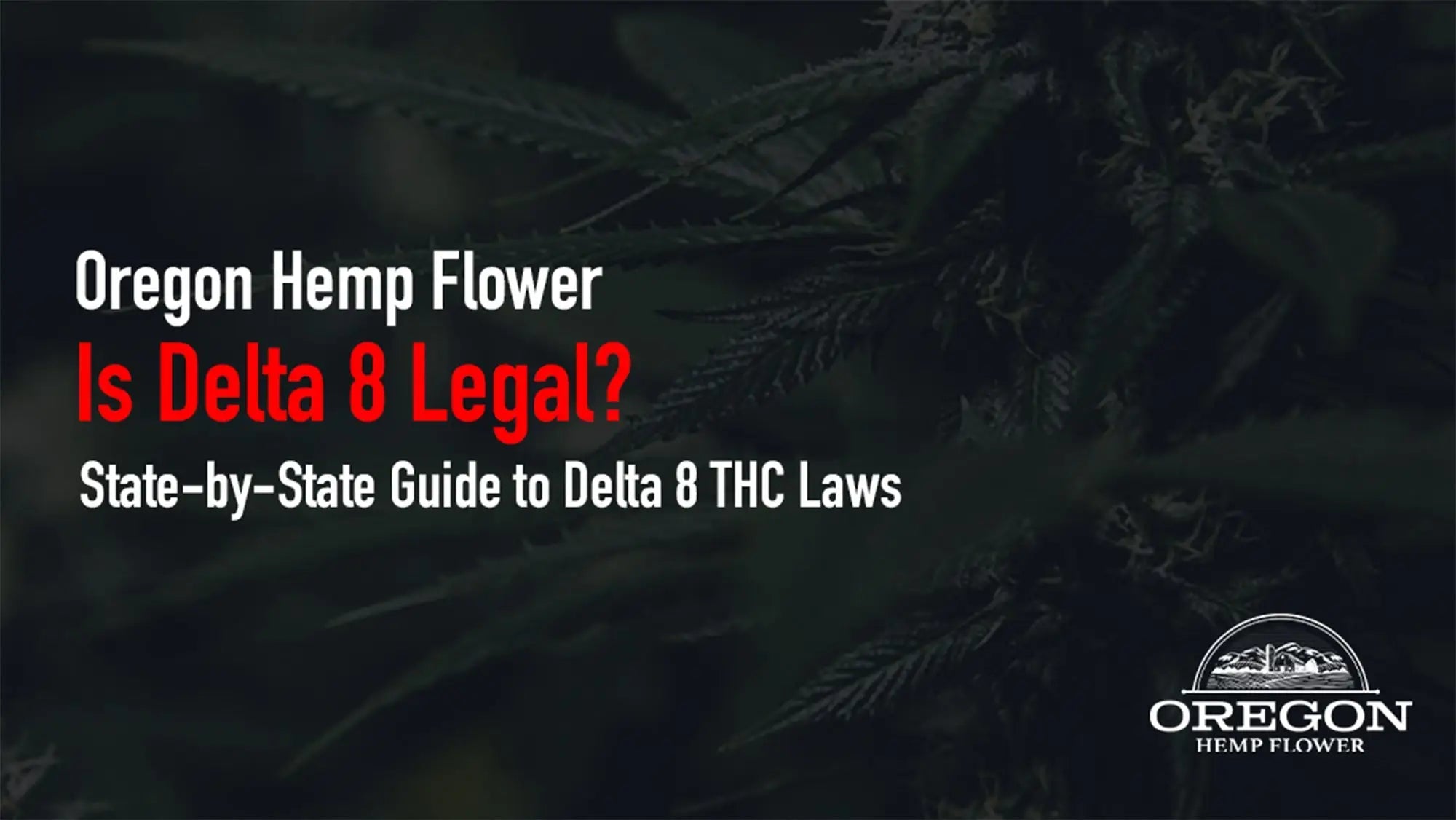 Is Delta 8 Legal? State-by-State Guide to Delta 8 THC Laws Is Delta 8 Legal? State-by-State Guide to Delta 8 THC Laws
