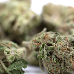 After Dark THCa Greenhouse Smalls