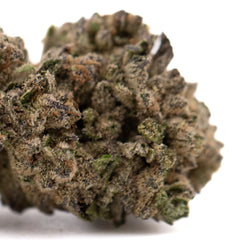 After Dark #2 THCa Hemp Flower Greenhouse Wholesale