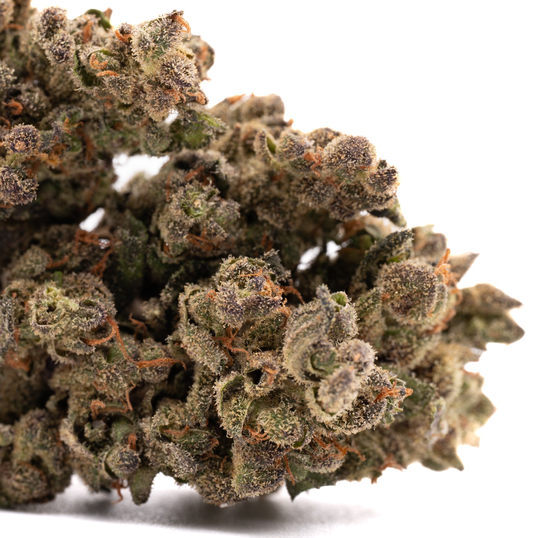 Apricot CBD Hemp Flower Smalls