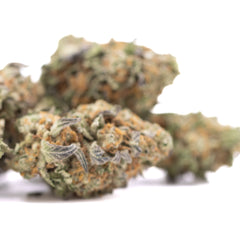 Astroboy THCa Hemp Flower Greenhouse