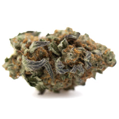 Astroboy THCa Hemp Flower Greenhouse Wholesale