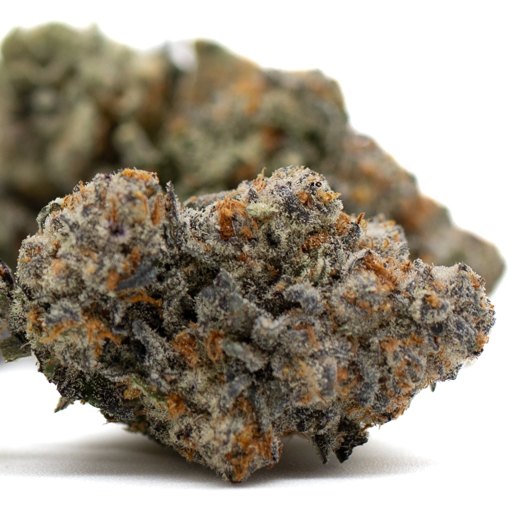 Astroboy Indoor THCa Flower - Plants