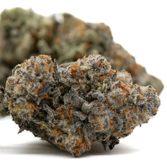 Astroboy Indoor THCa Flower - Plants