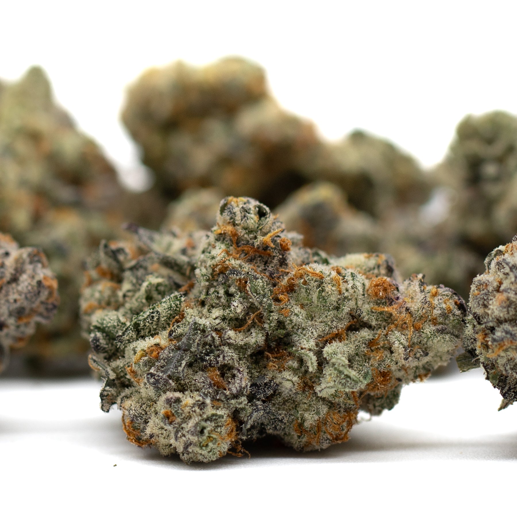 Astroboy Indoor THCa Flower - Plants