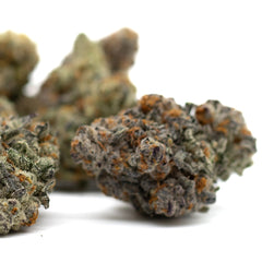 Astroboy Indoor THCa Flower - Plants