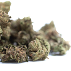Bahama Bussdown THCa Hemp Flower Greenhouse Smalls