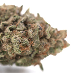 Bahama Bussdown THCa Hemp Flower Greenhouse