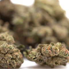 Banana OG THCa Flower Smalls Full-Term