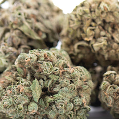 Banana OG THCa Flower Full-Term