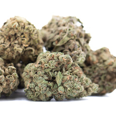 Banana OG THCa Flower Full-Term