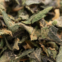 Black Lemon Cherry Gelato THCa Indoor Trim Wholesale 1LB - 1 LB - Plants