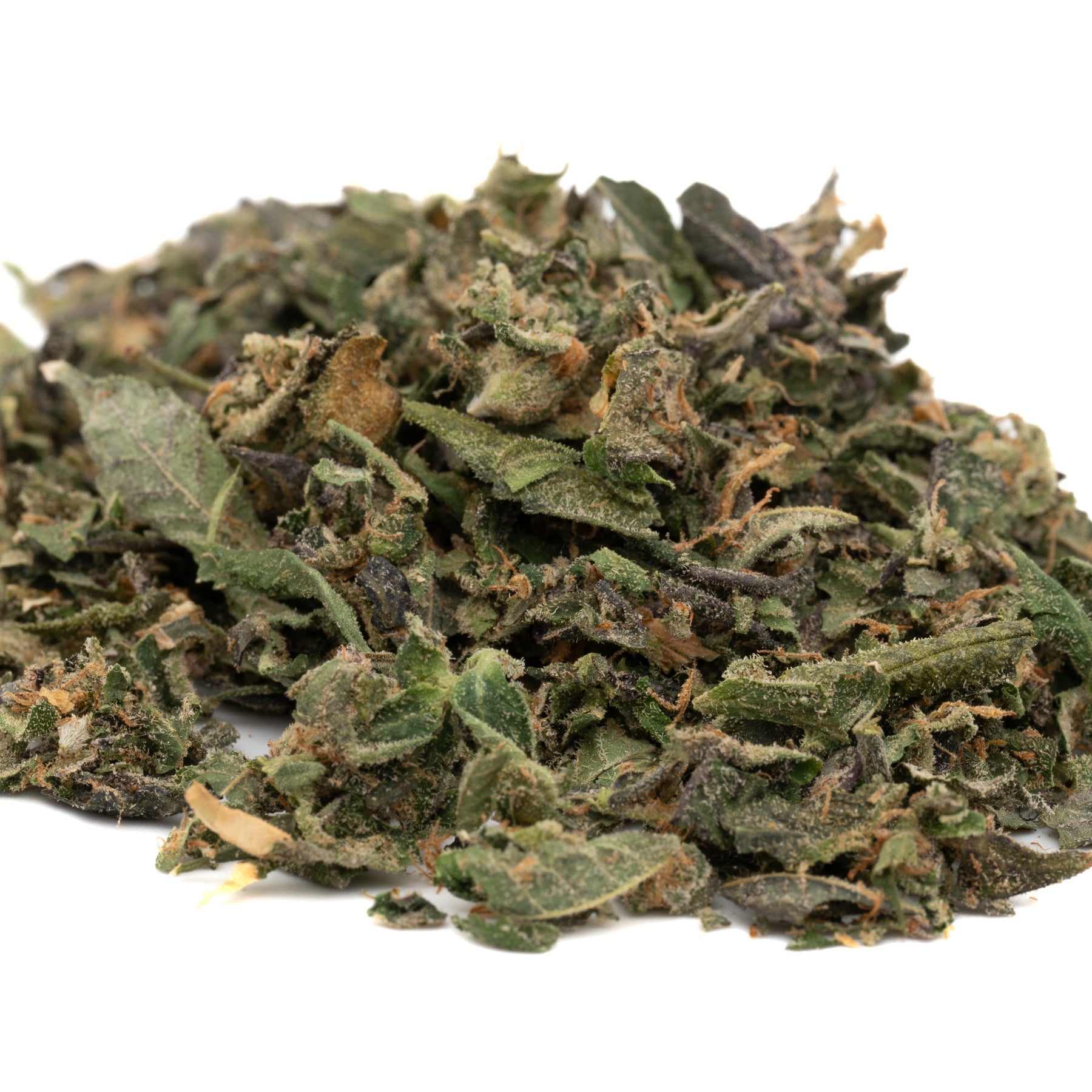 Black Lemon Cherry Gelato THCa Indoor Trim Wholesale 1LB - 1 LB - Plants