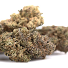 Black Amber Indoor THCa Flower