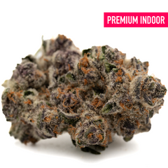 Raspberry Runtz Indoor THCa Flower Wholesale