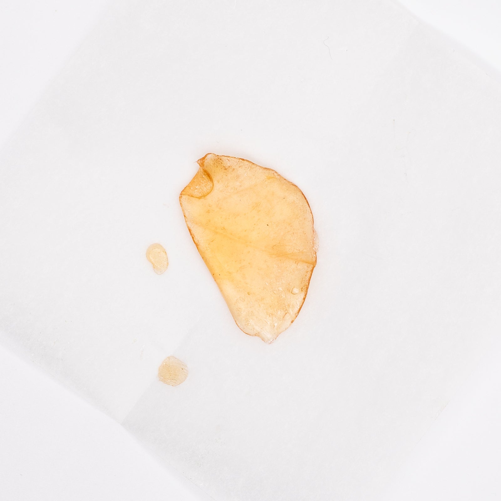 Orange-tinted coffee stain on white surface with Blue Dream THCa Dab Wax 1g