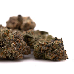 Blue Heron THCa Indoor Flower - Plants
