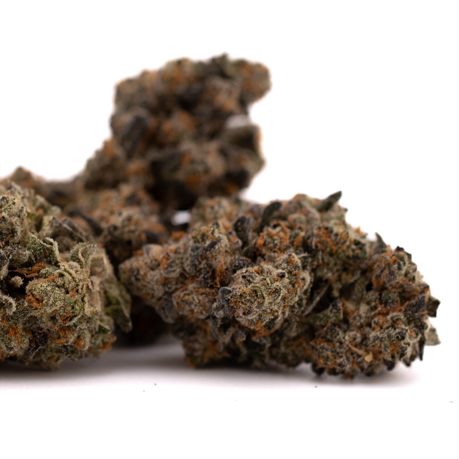 Blue Heron THCa Indoor Flower - Plants