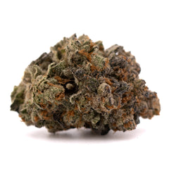 Blue Heron THCa Indoor Flower - Plants