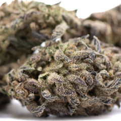 Blue Sugar THCa Hemp Flower Greenhouse