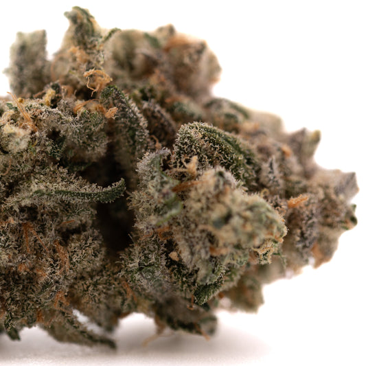 Blue Dream #2 Indoor THCa Flower - Plants