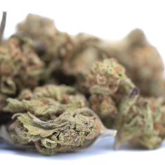 Blue Dream THCa Hemp Flower Greenhouse Smalls