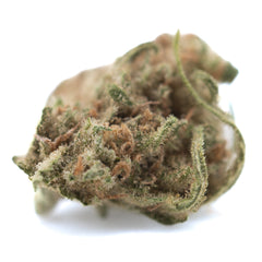 Blue Dream THCa Hemp Flower Greenhouse Smalls