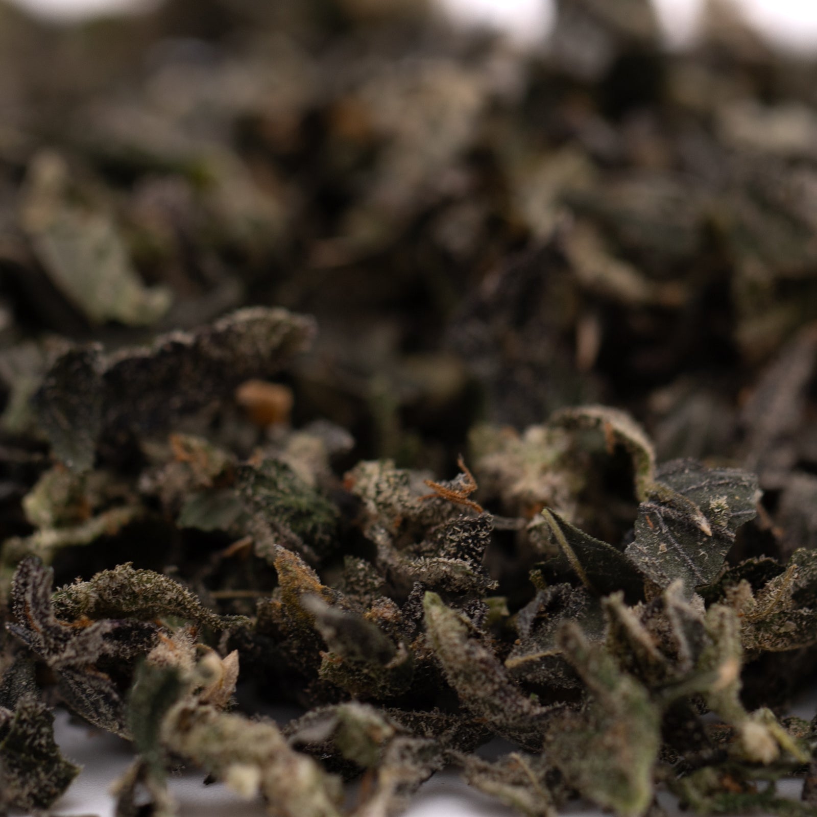 Blue Heron Indoor Trim Wholesale 1LB - 1 LB - Plants
