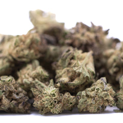 Blue Sugar THCa Hemp Flower Greenhouse Smalls