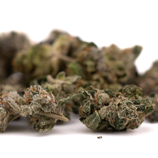 Blue Heron Indoor THCa Flower Smalls - Plants