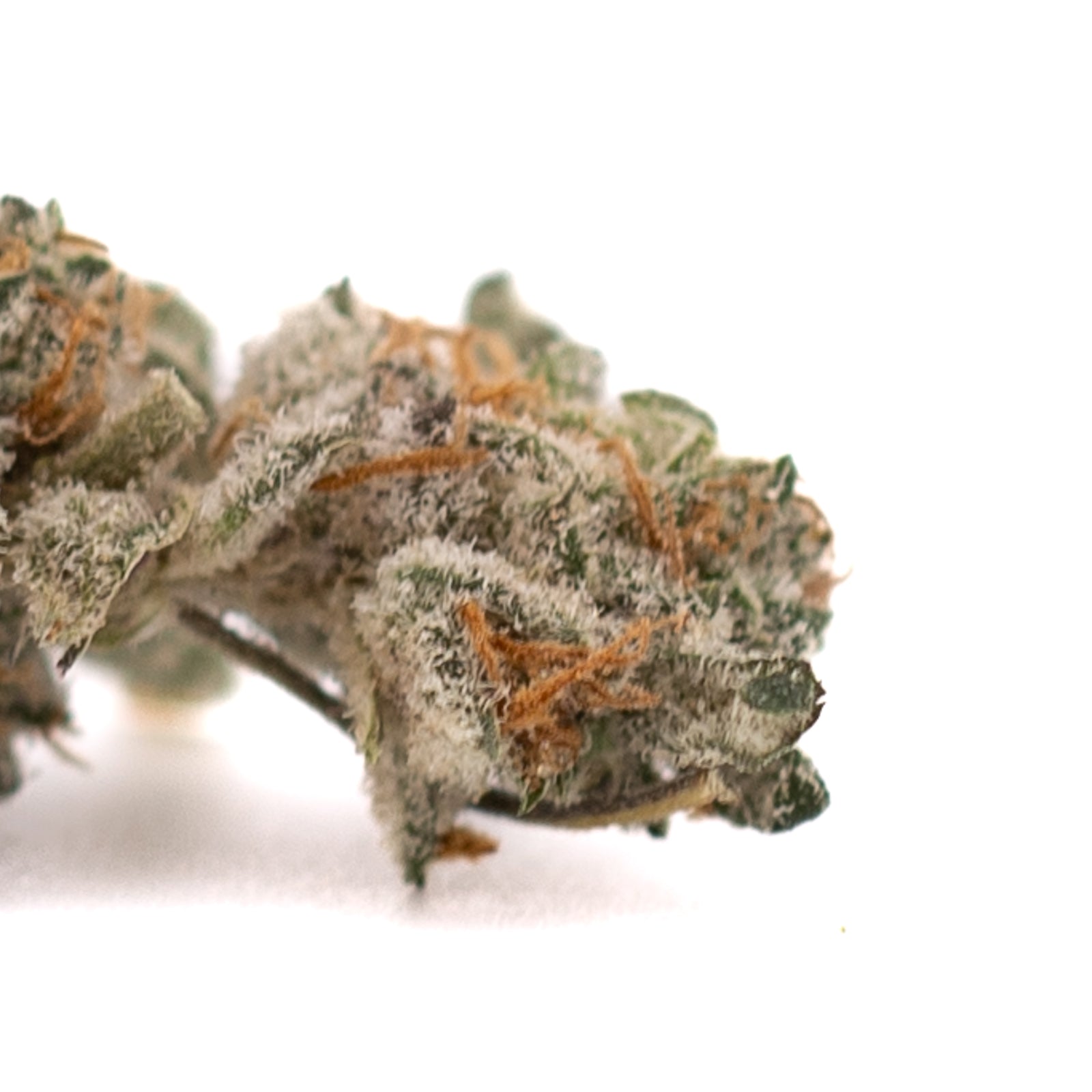 Blue Heron Indoor THCa Flower Smalls - Plants