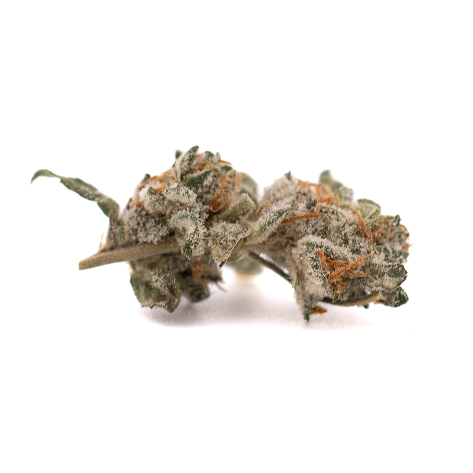 Blue Heron Indoor THCa Flower Smalls - Plants