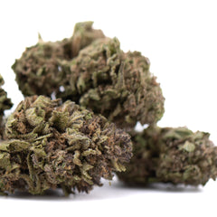 Blueberry Muffin THCa Flower Full-Term