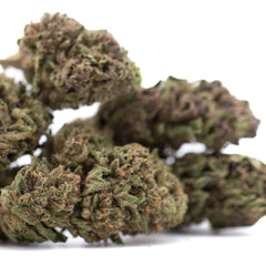 Blueberry Muffin THCa Flower Full-Term