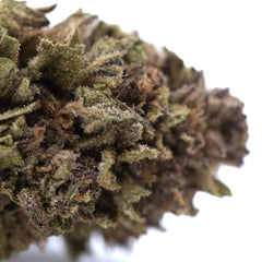 Blueberry Muffin THCa Flower Full-Term