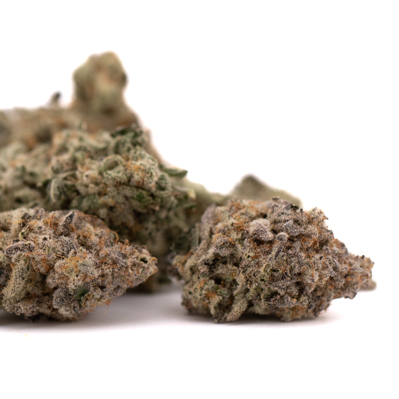 Blue Cookies THCa Indoor Flower - Plants