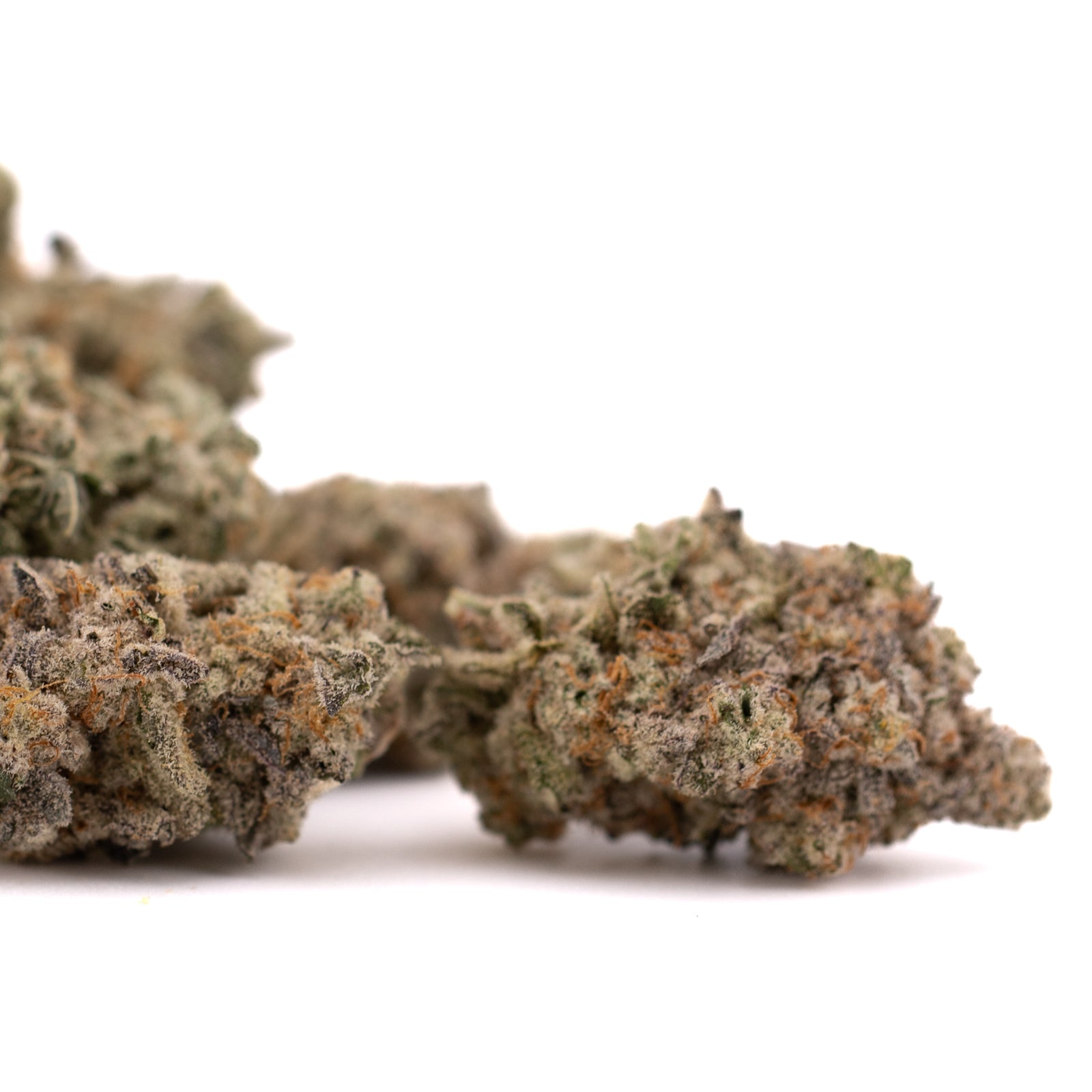 Blue Cookies THCa Indoor Flower - Plants