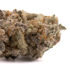 Blue Cookies THCa Indoor Flower - Plants