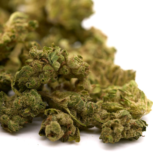 Tune CBD Hemp Flower Smalls - Plants