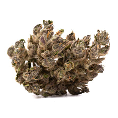 Blues CBD Hemp Flower - Plants