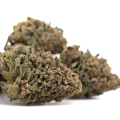 Bolor Tartz THCa Hemp Flower Greenhouse