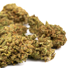Bubba Kush Delta 8 Hemp Flower - Plants