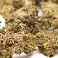 Bubba Kush CBD Hemp Flower - Plants