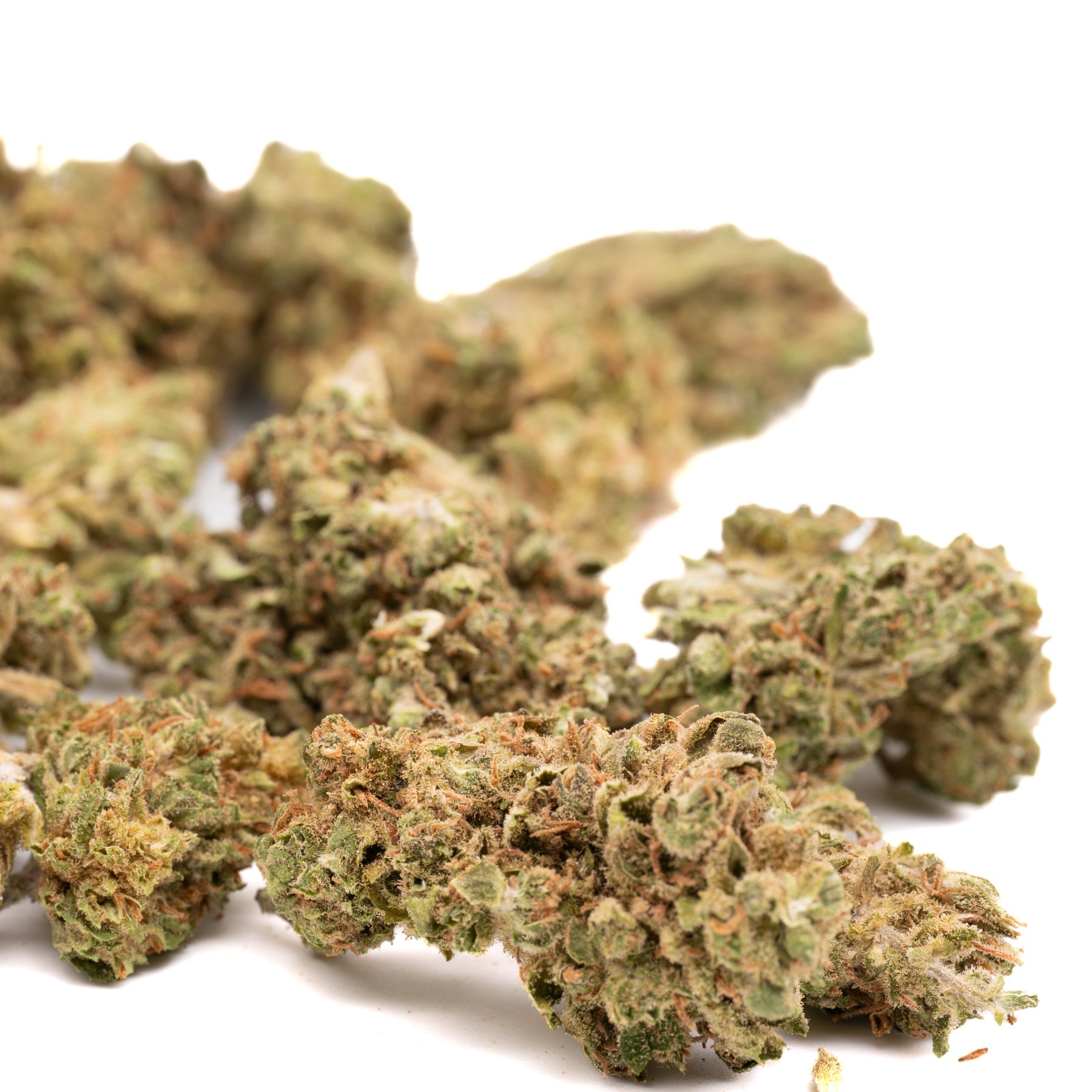 Bubba Kush CBD Hemp Flower - Plants